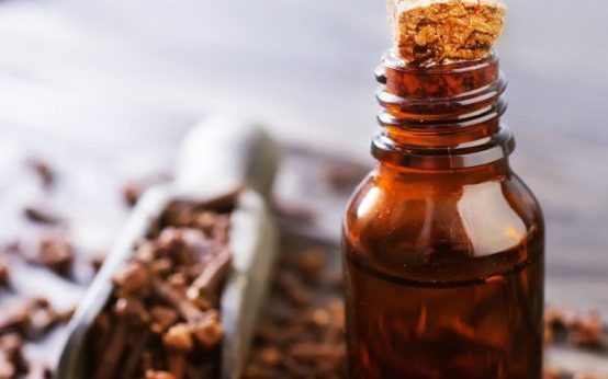 Trend Mới: Hương Liệu Thực Phẩm Tự Nhiên và Sự Trở Lại của Hương Vị Cổ Điển