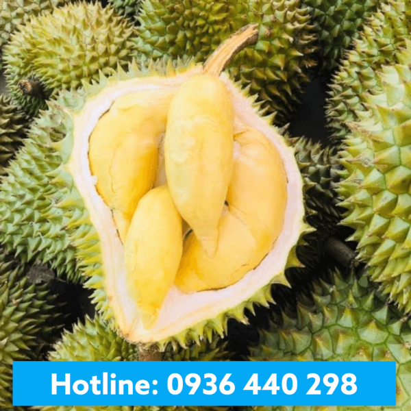 Hương sầu riêng- Durian Flavor