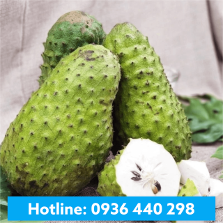 Hương Mãng Cầu - Soursop Flavor