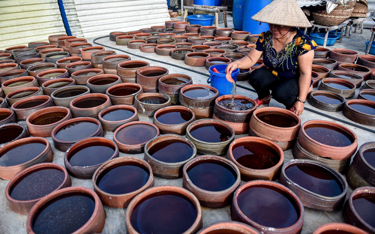 chất tạo nhũ